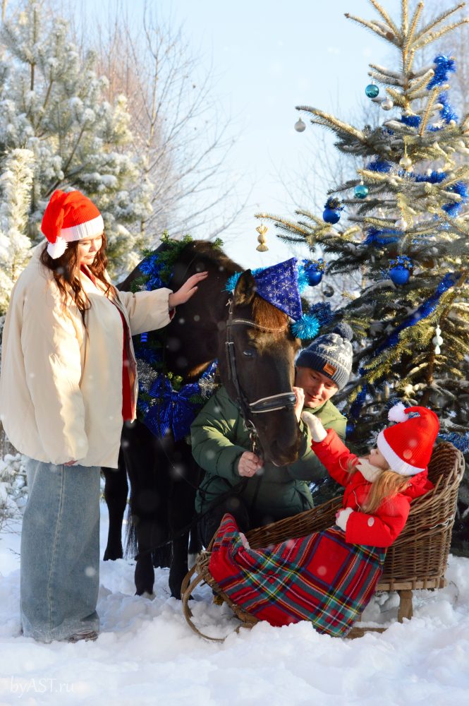 27.12.2025